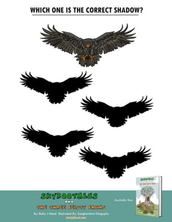 eagle drawings